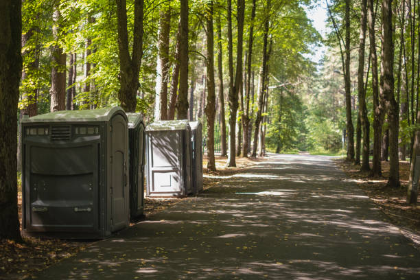 Affordable portable toilet rental in Ann Arbor, MI